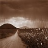 This photo is taken by a man named Kent Barker, who is brilliant in his art.  http://www.kentbarker.com/