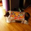 He told me that the box started it. I'm not sure who to believe.