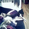 Remove all of your bones and drape yourself off of furniture.